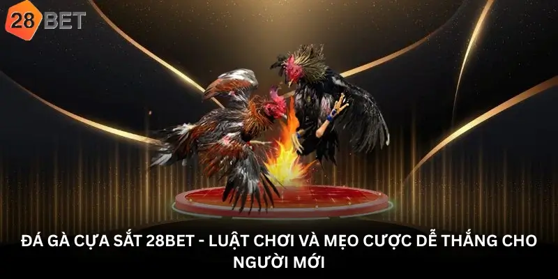 Đá gà cựa sắt 28Bet - Luật Chơi Và Mẹo Cược Dễ Thắng Cho Người Mới