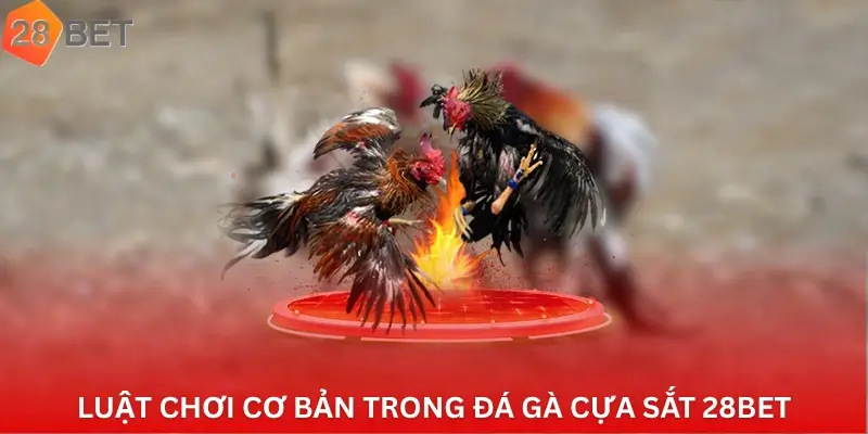 Luật chơi cơ bản trong đá gà cựa sắt 28Bet