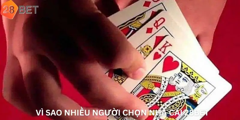 Vì sao nhiều người chọn nhà cái 28Bet